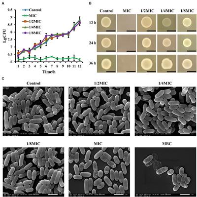 Subinhibitory concentrations of glabridin from Glycyrrhiza glabra L. reduce Listeria monocytogenes motility and hemolytic activity but do not exhibit antimicrobial activity